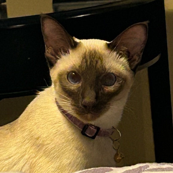 Meet your Posher, Rich - Picture 5 of 5